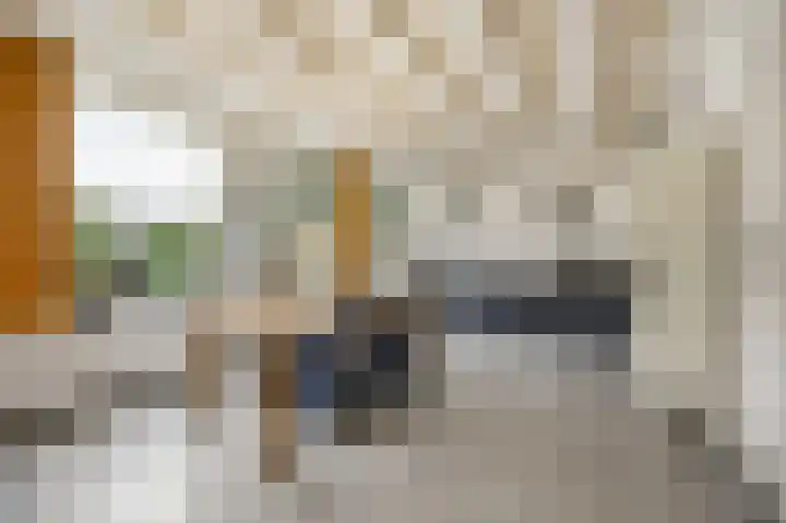 Laagbos 3 Breda thumbnail 16