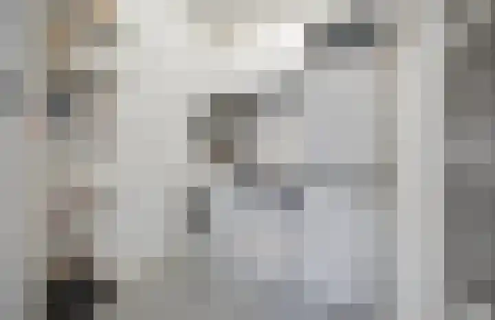 Laagbos 3 Breda thumbnail 22