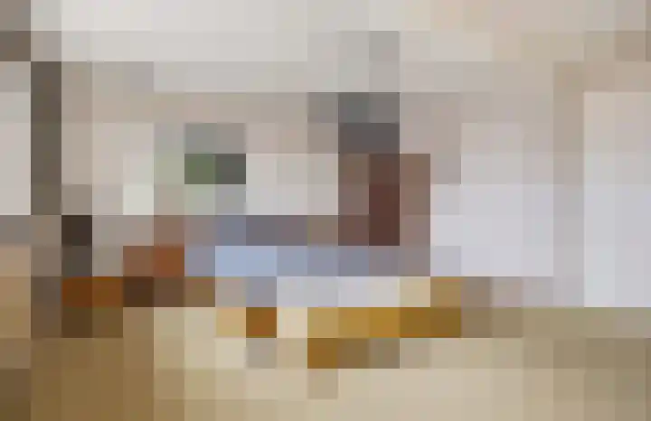 Laagbos 3 Breda thumbnail 29