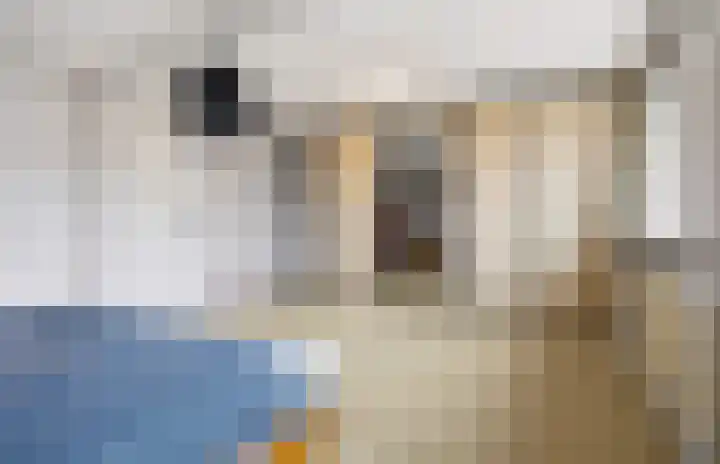 Laagbos 3 Breda thumbnail 30