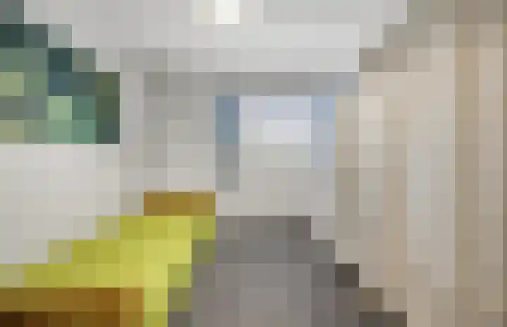 Laagbos 3 Breda thumbnail 31