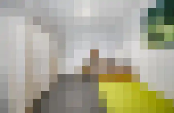 Laagbos 3 Breda thumbnail 32