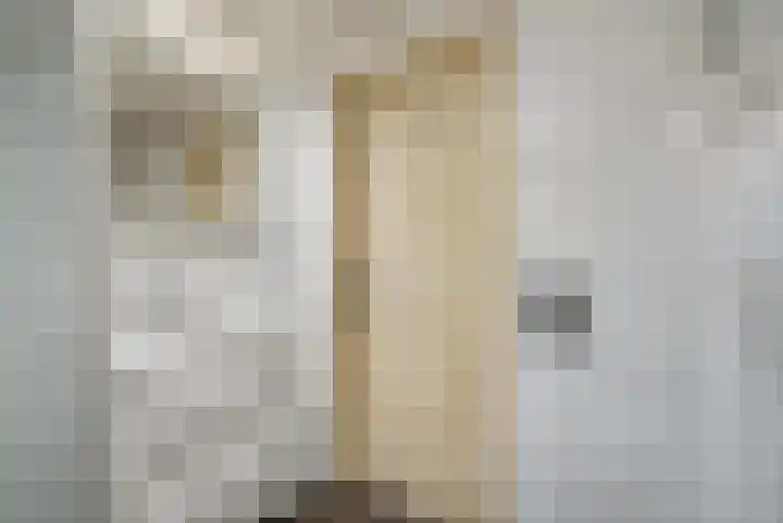 Laagbos 3 Breda thumbnail 34