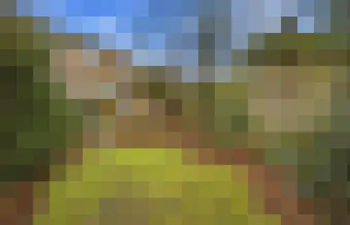 Laagbos 3 Breda thumbnail 35