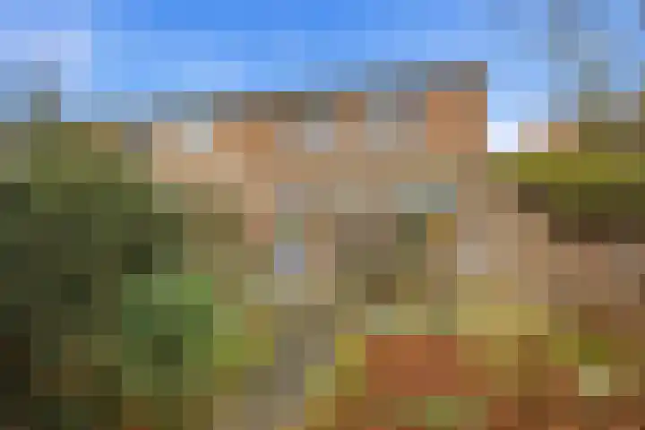 Laagbos 3 Breda thumbnail 36