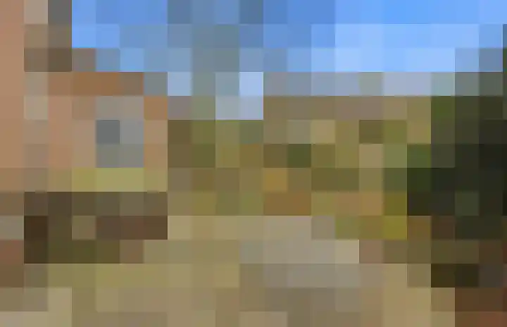 Laagbos 3 Breda thumbnail 37