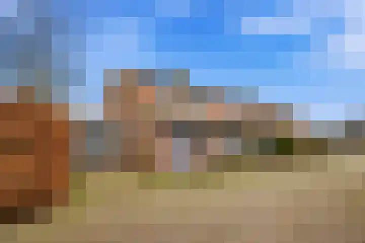 Laagbos 3 Breda thumbnail 4