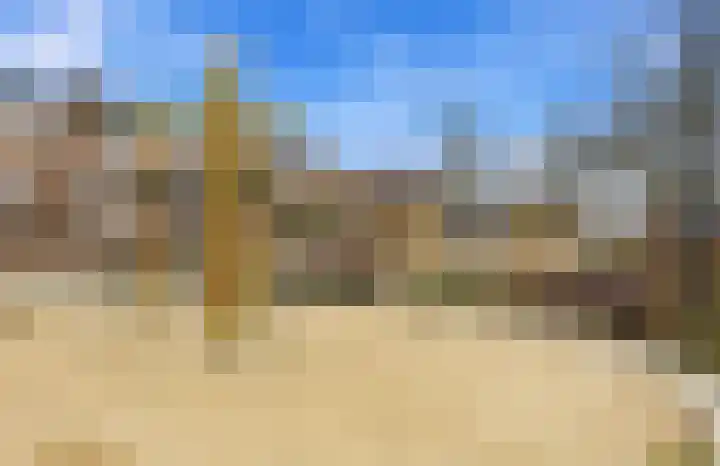 Laagbos 3 Breda thumbnail 41