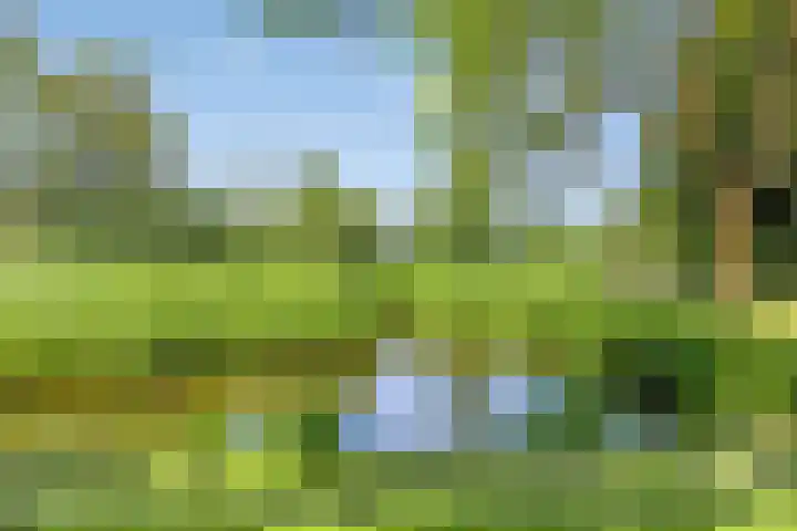 Laagbos 3 Breda thumbnail 44