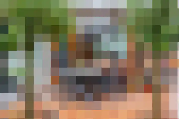 Laagbos 3 Breda thumbnail 5