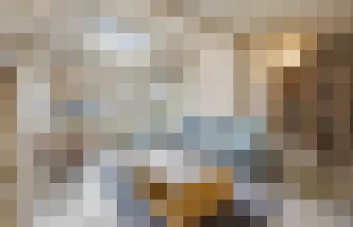 Laagbos 3 Breda thumbnail 7