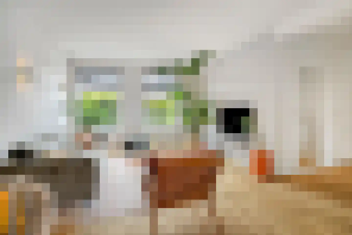 Laagbos 6 Breda thumbnail 12