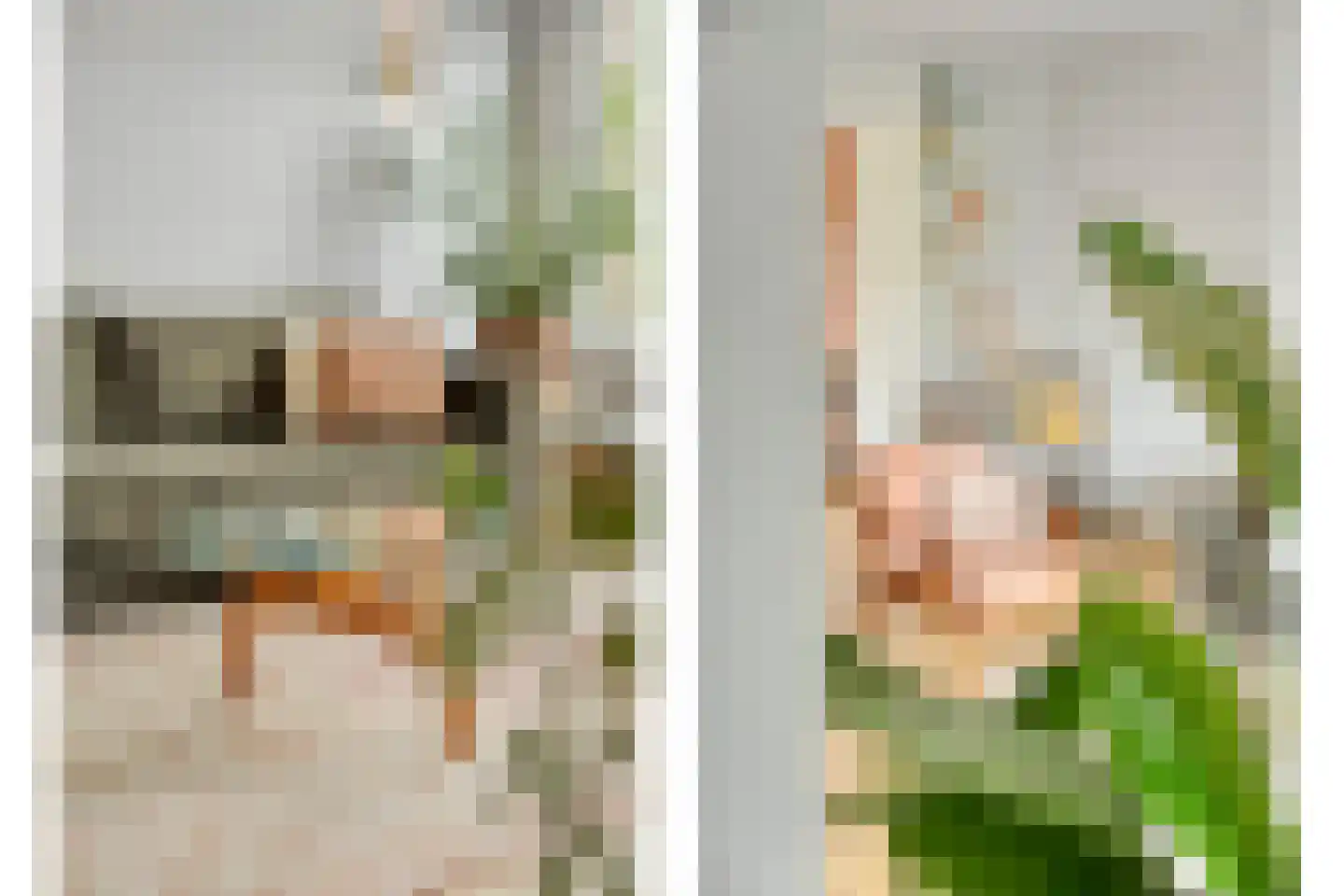 Laagbos 6 Breda thumbnail 15
