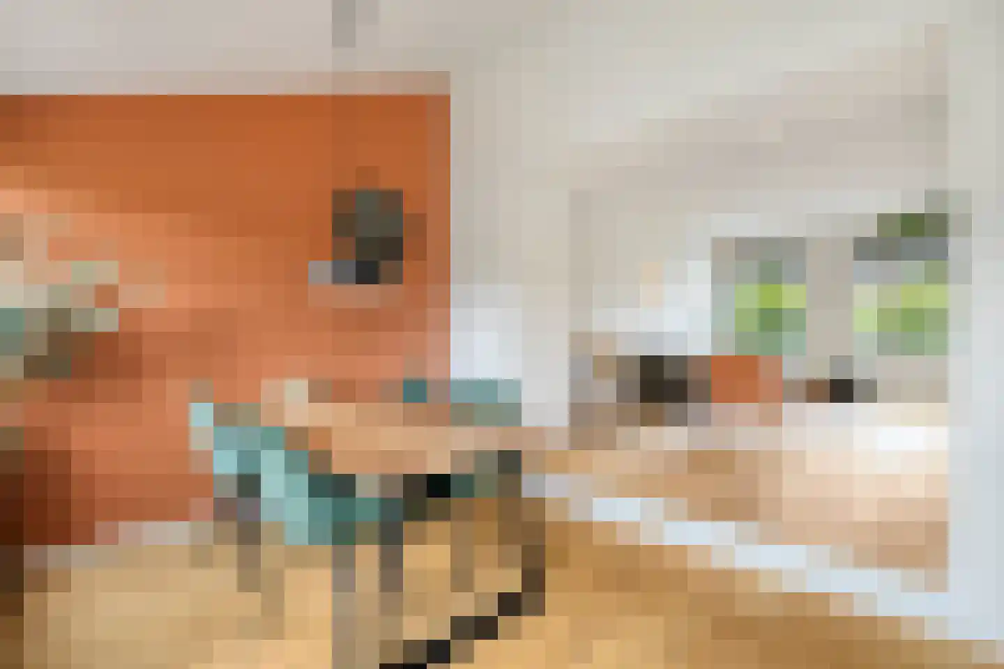 Laagbos 6 Breda thumbnail 18
