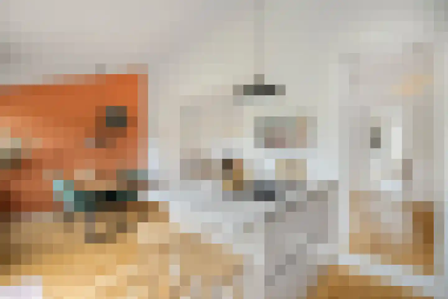Laagbos 6 Breda thumbnail 21