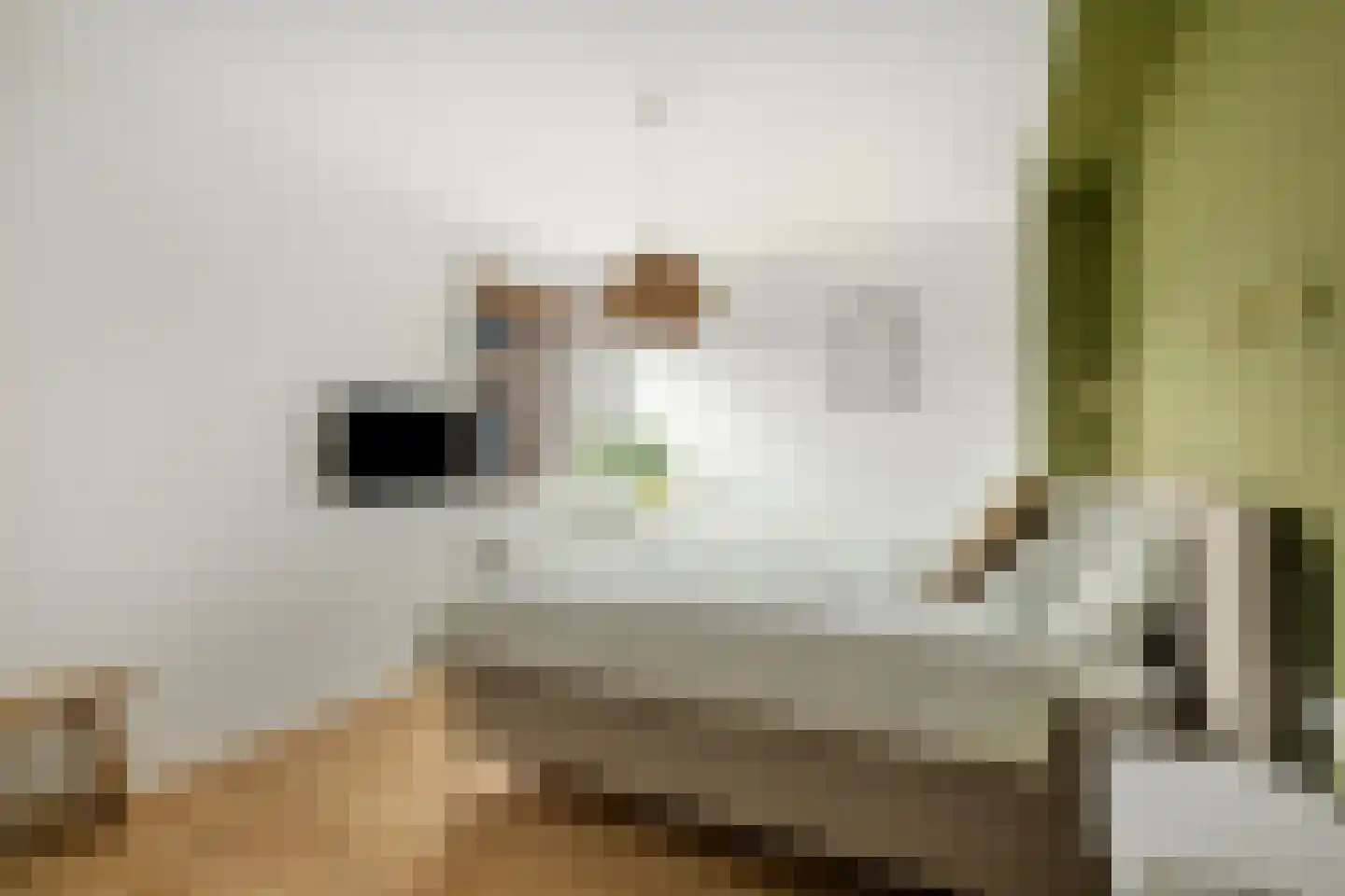 Laagbos 6 Breda thumbnail 28