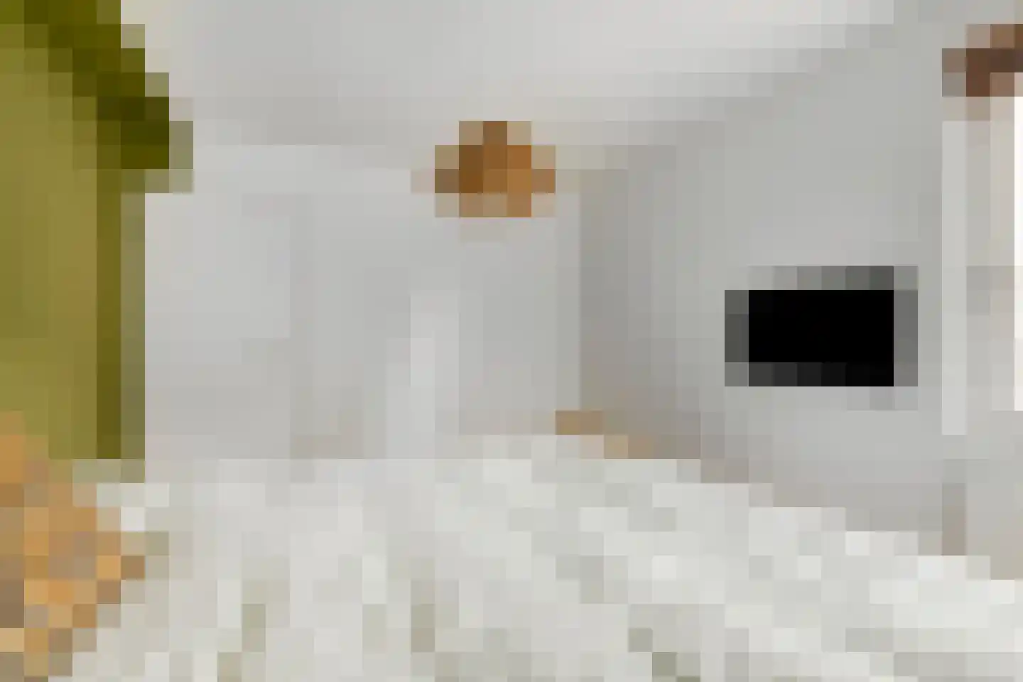 Laagbos 6 Breda thumbnail 29