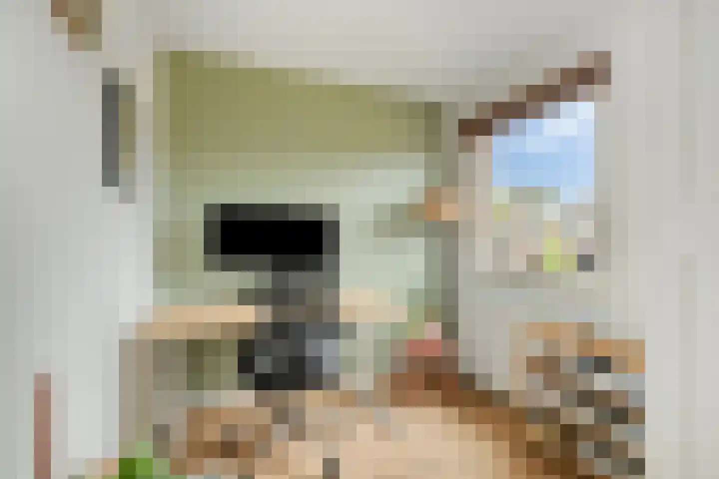 Laagbos 6 Breda thumbnail 30