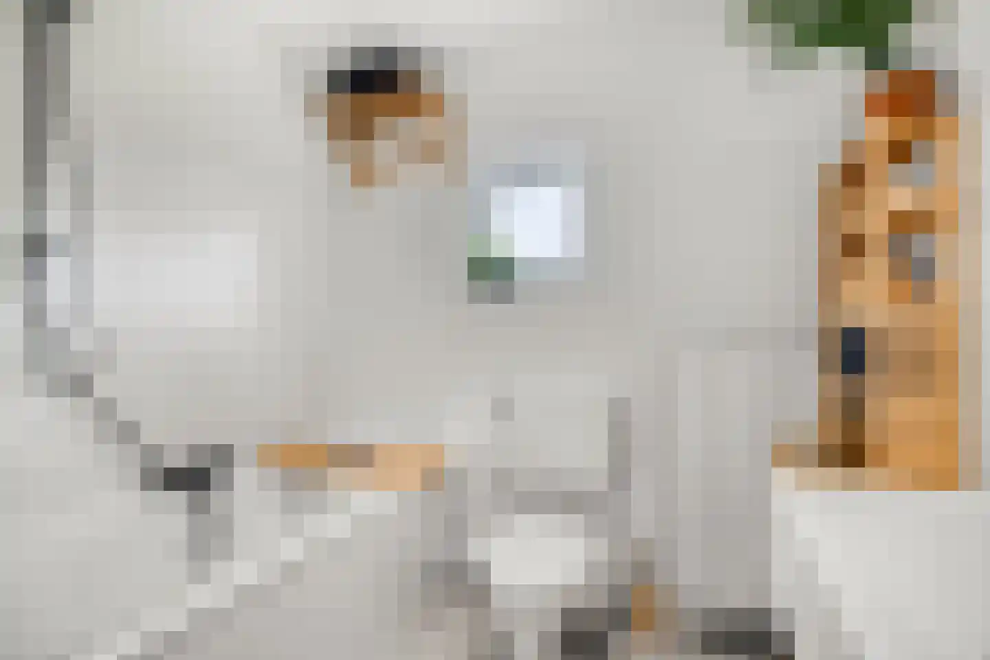 Laagbos 6 Breda thumbnail 32
