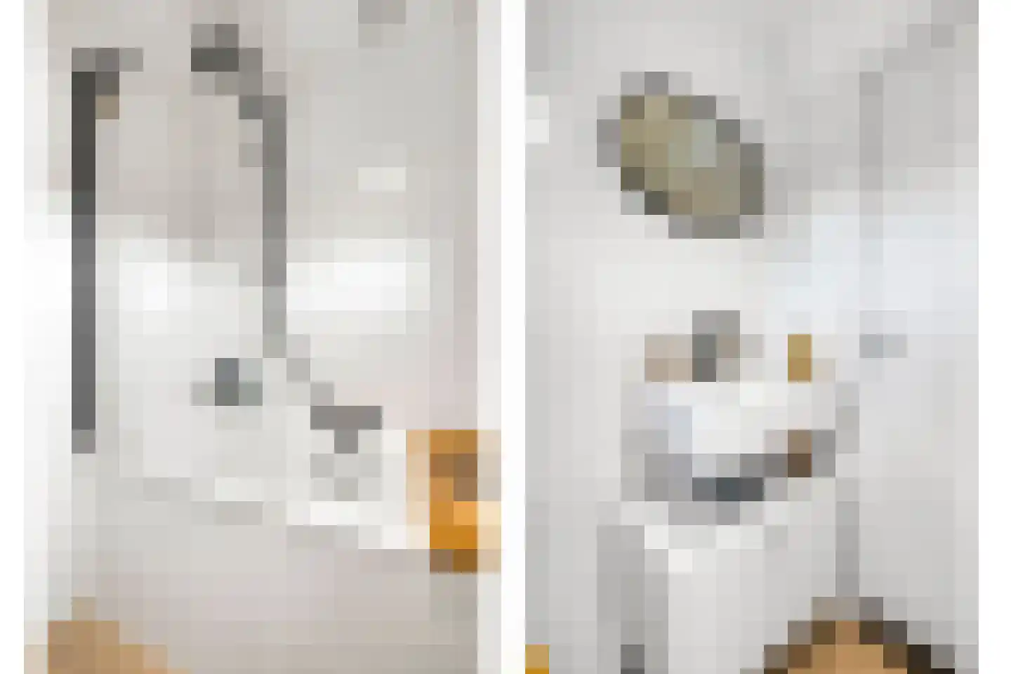 Laagbos 6 Breda thumbnail 33