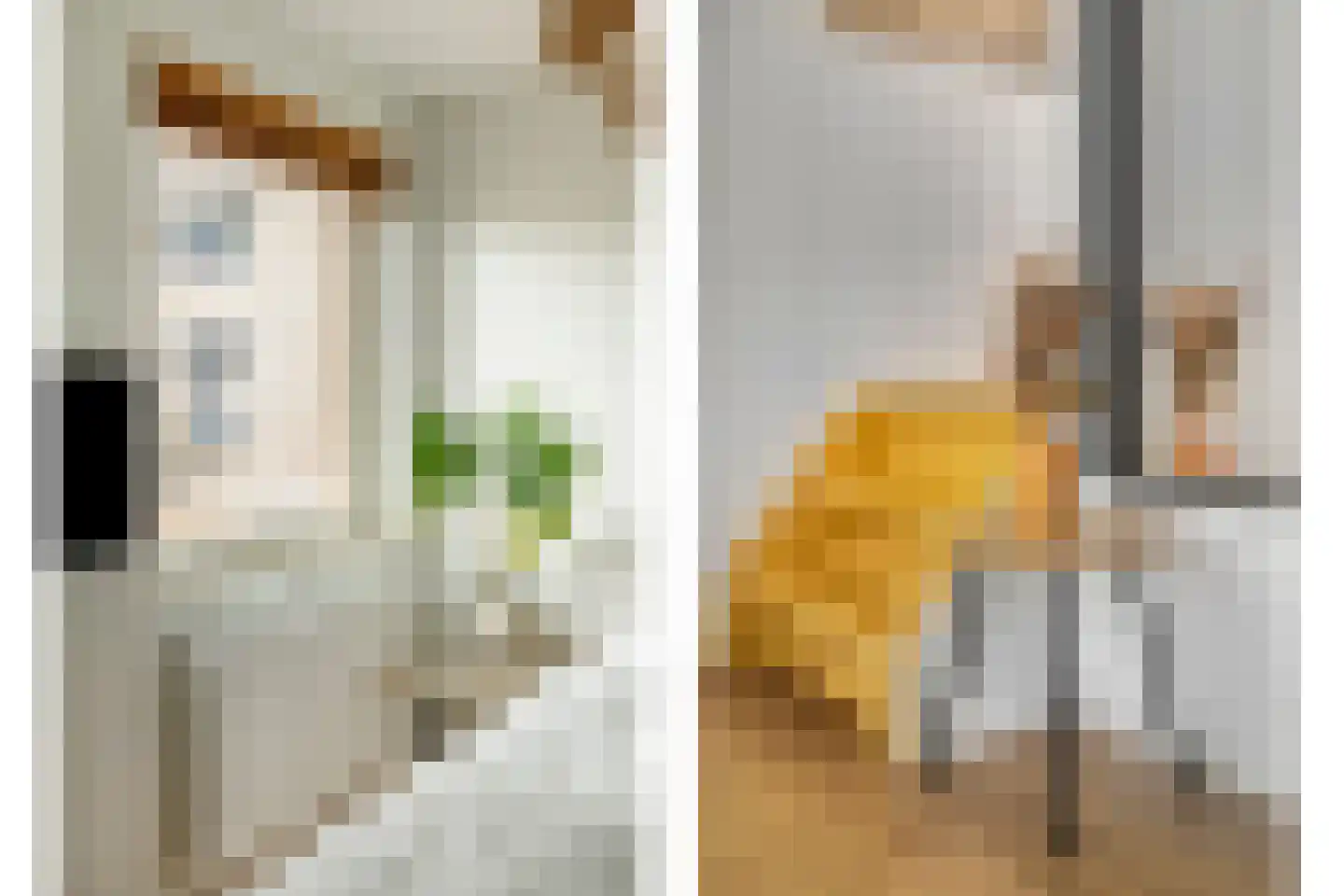 Laagbos 6 Breda thumbnail 34