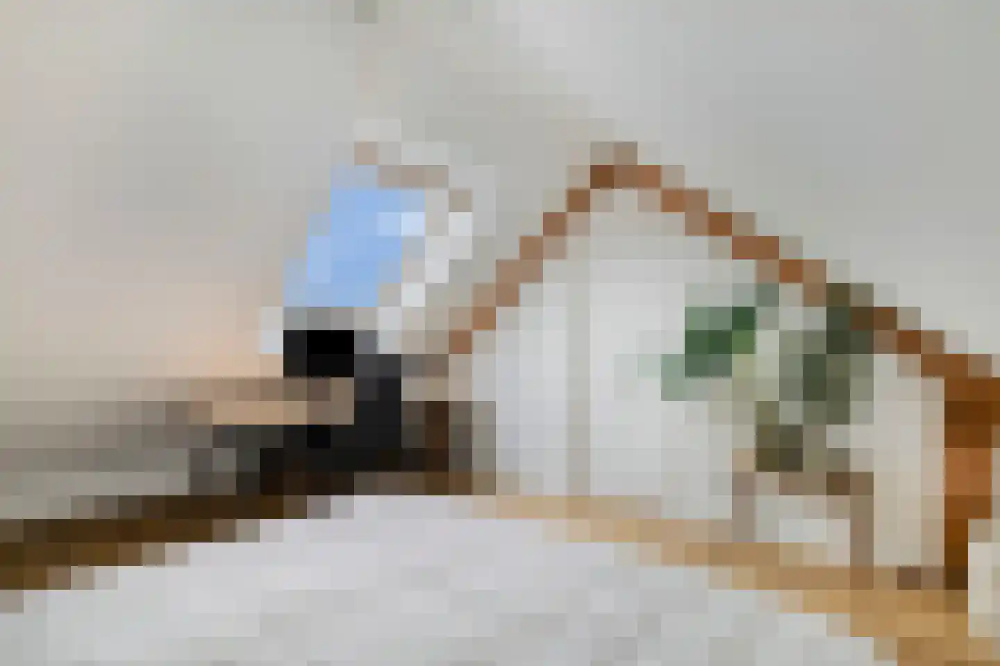 Laagbos 6 Breda thumbnail 37