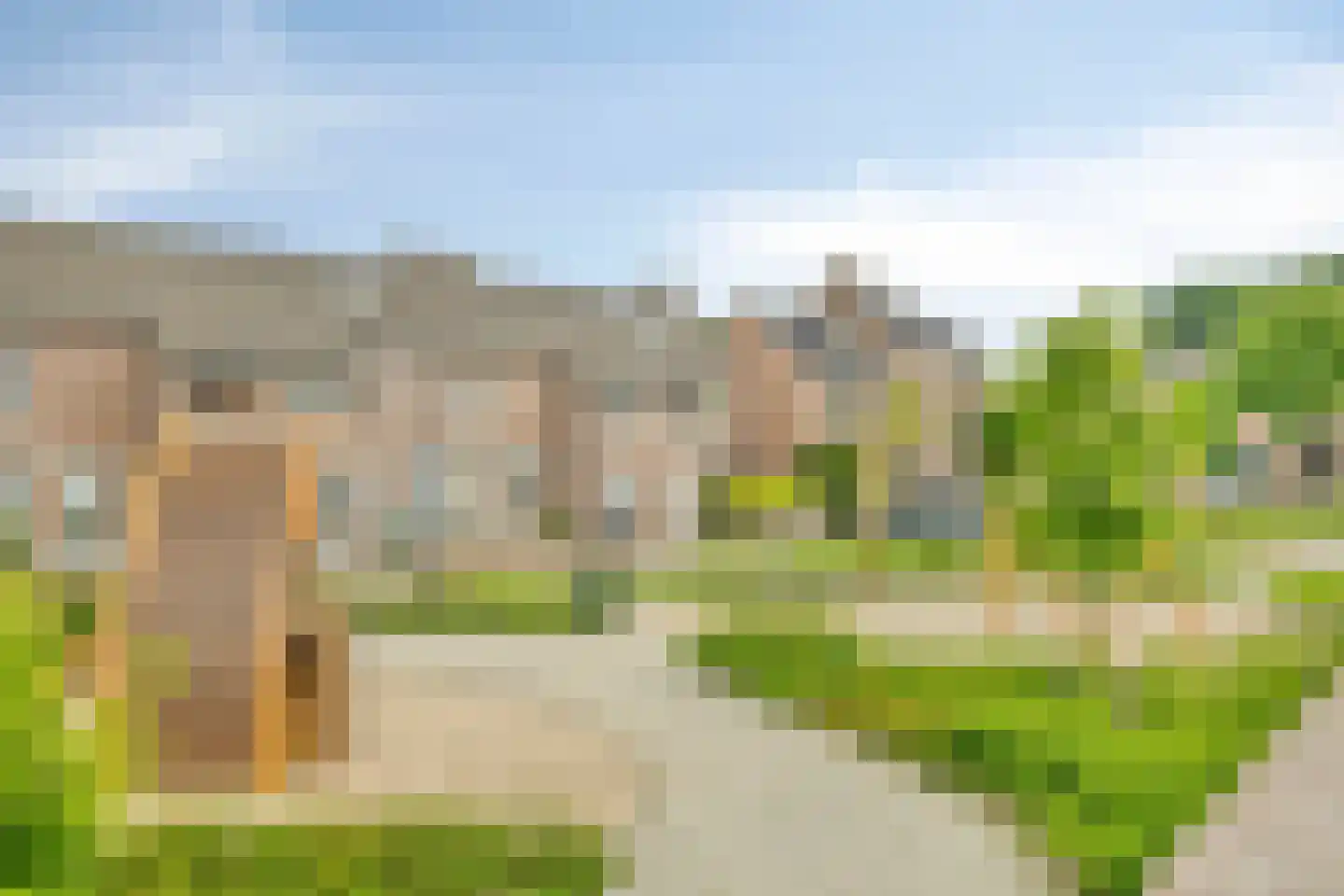 Laagbos 6 Breda thumbnail 42