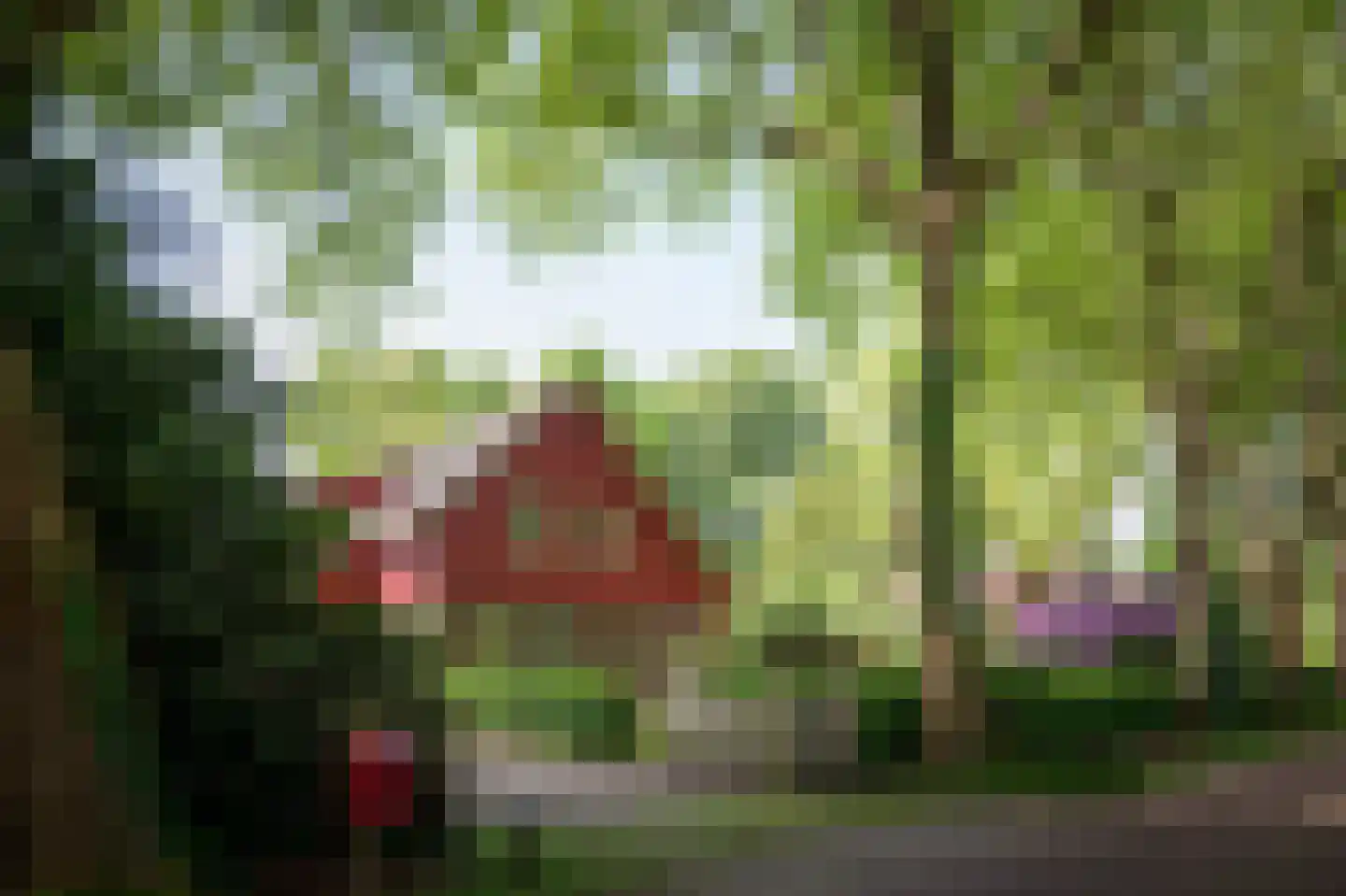 Laagduurswoude 18 Makkinga