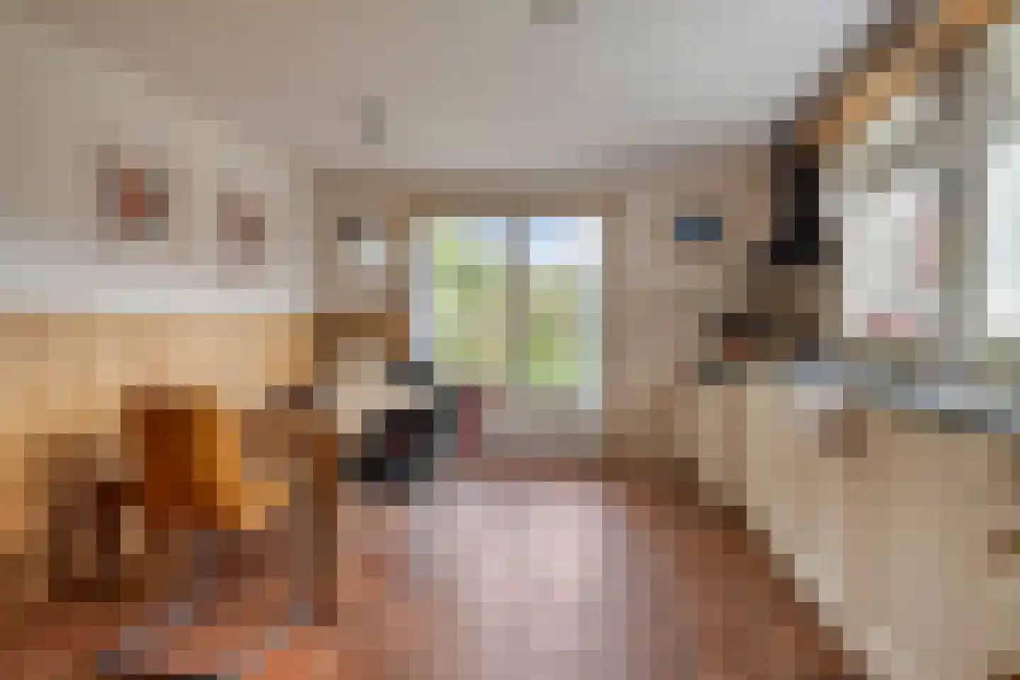 Laagduurswoude 18 Makkinga thumbnail 13