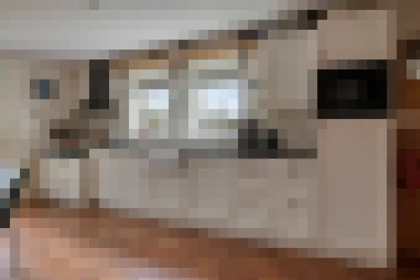 Laagduurswoude 18 Makkinga thumbnail 14