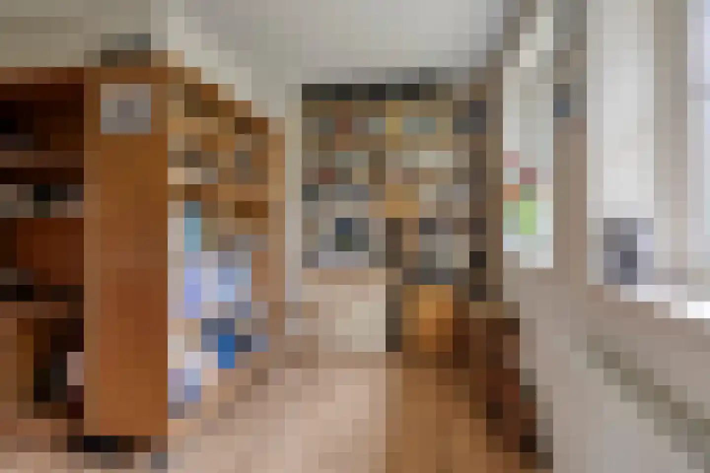 Laagduurswoude 18 Makkinga thumbnail 18