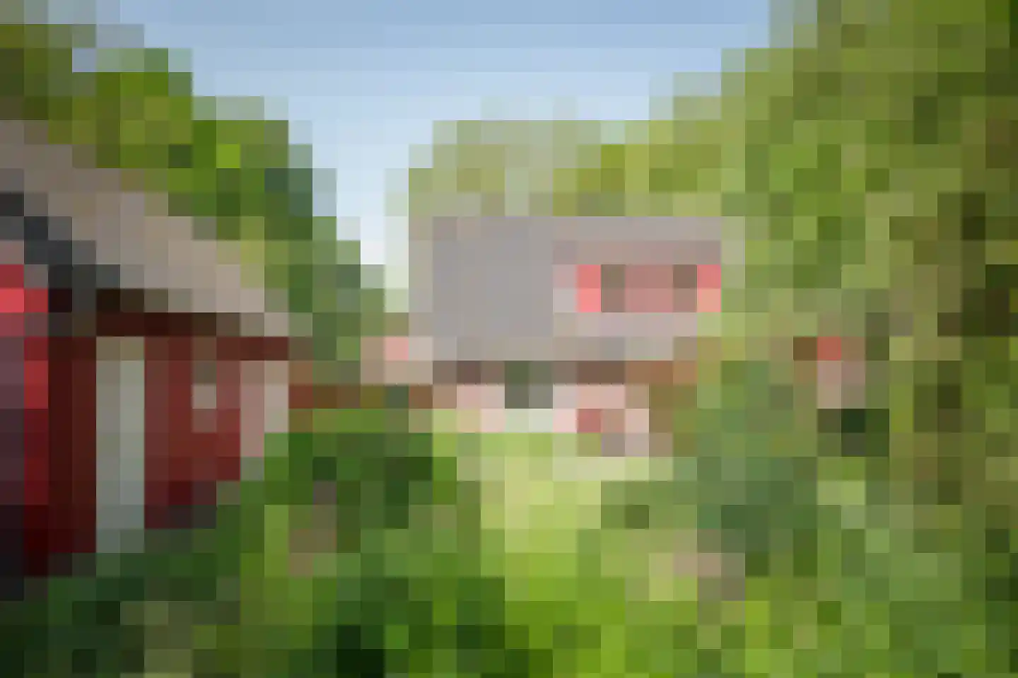 Laagduurswoude 18 Makkinga foto 3