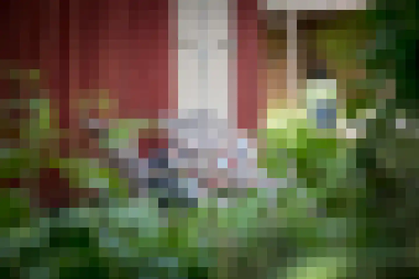 Laagduurswoude 18 Makkinga thumbnail 31