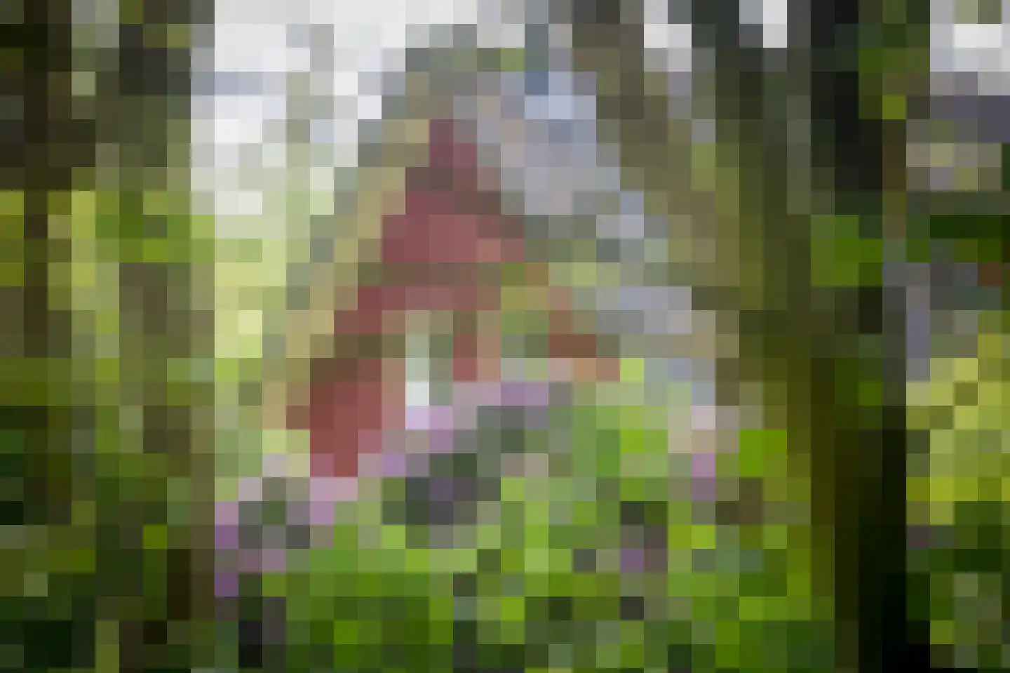 Laagduurswoude 18 Makkinga thumbnail 33