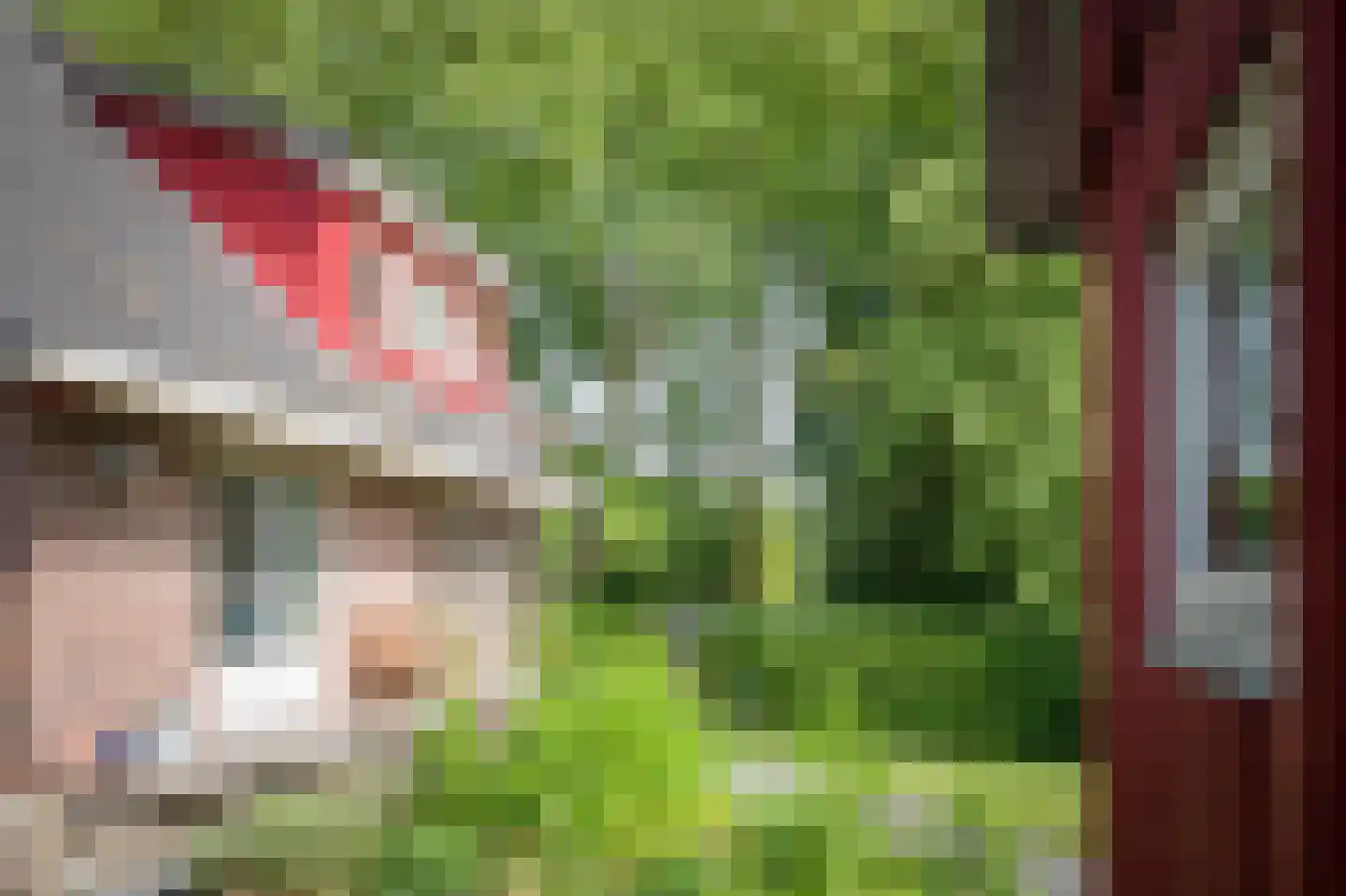 Laagduurswoude 18 Makkinga thumbnail 36