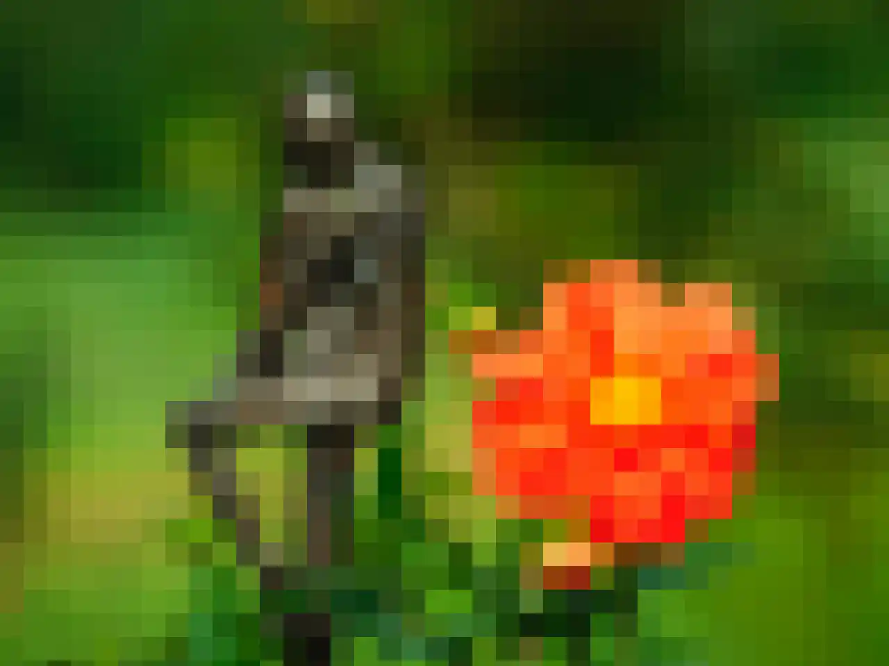 Laagduurswoude 18 Makkinga thumbnail 37