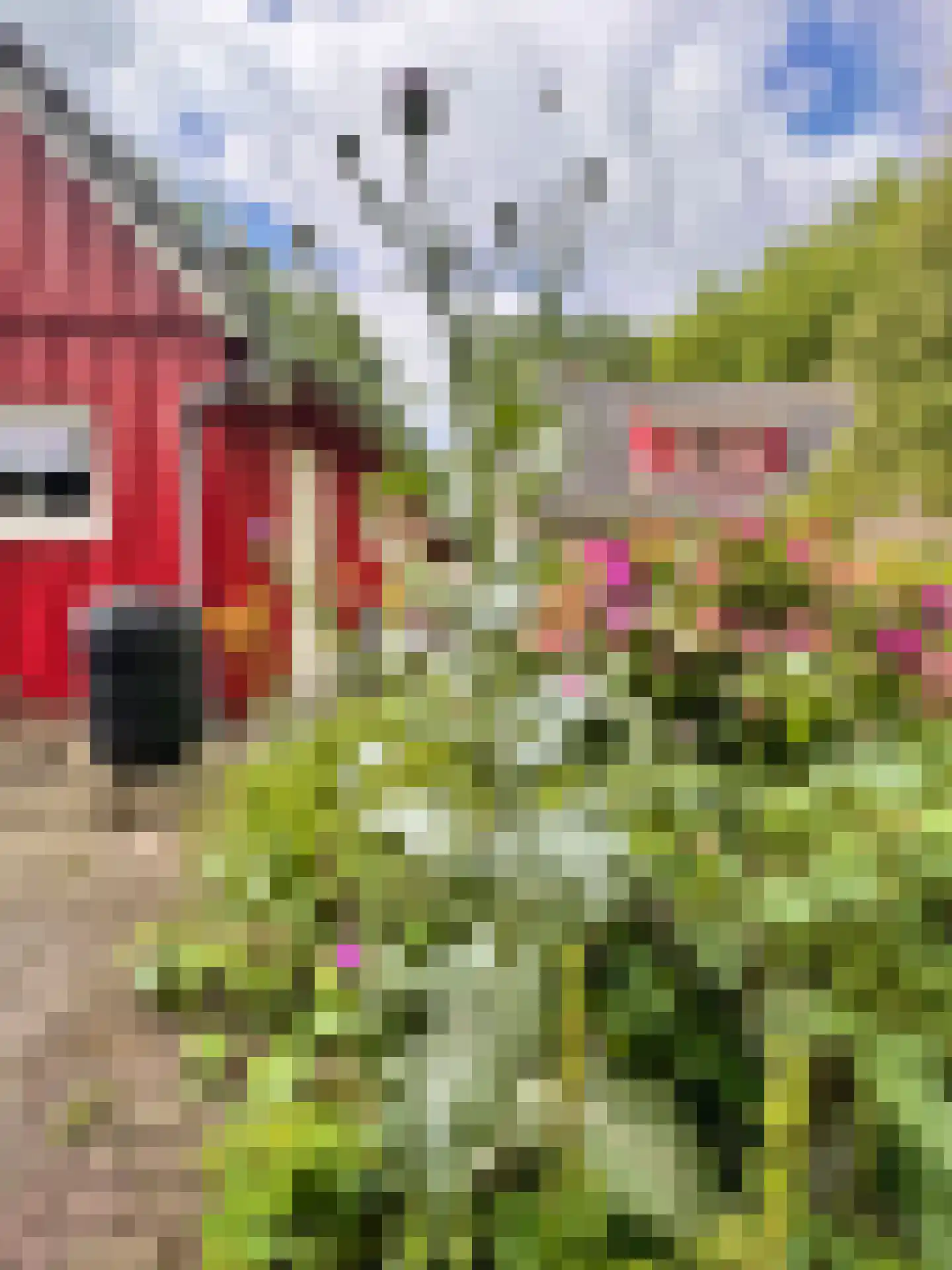 Laagduurswoude 18 Makkinga thumbnail 38