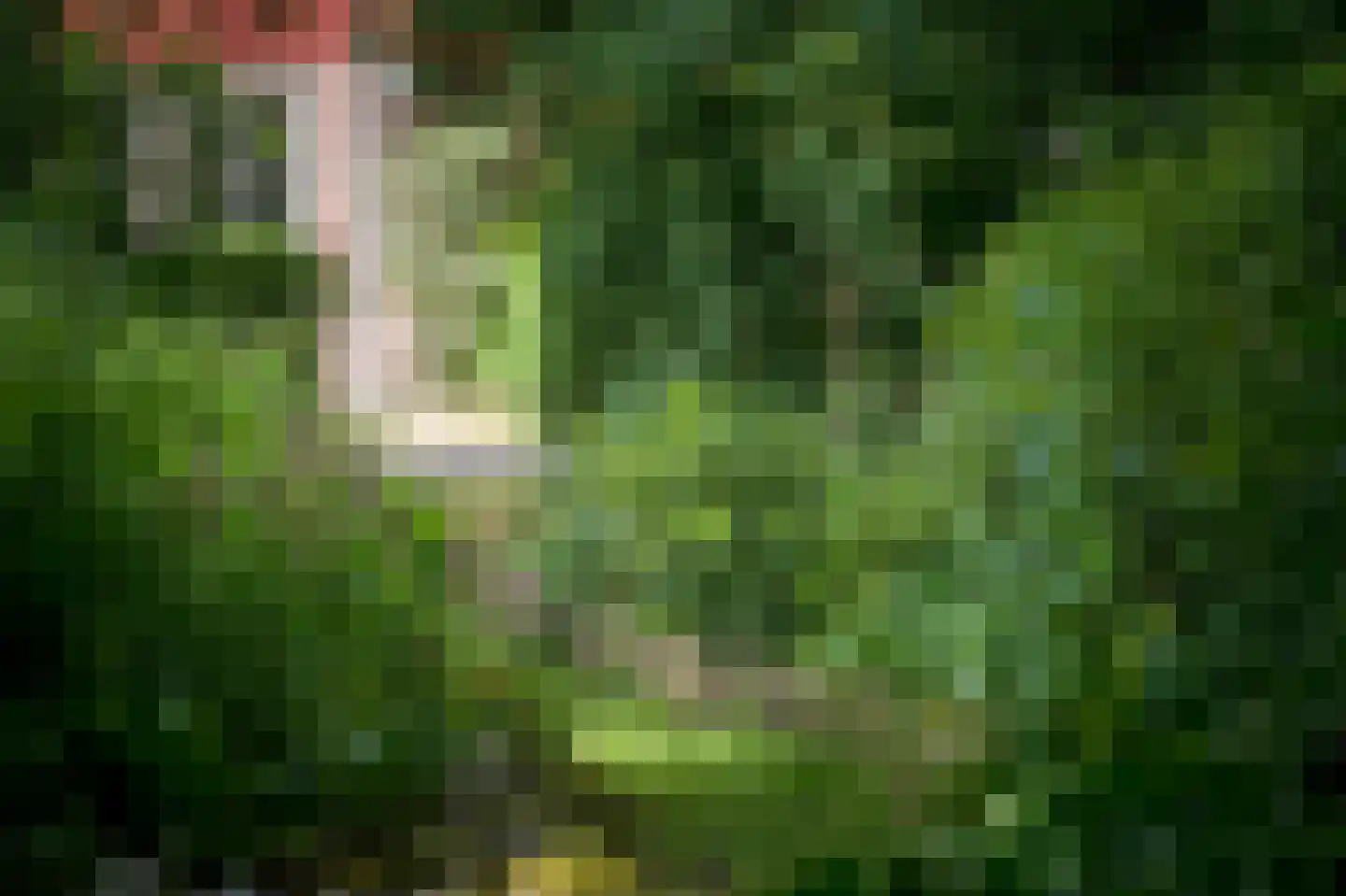 Laagduurswoude 18 Makkinga thumbnail 39