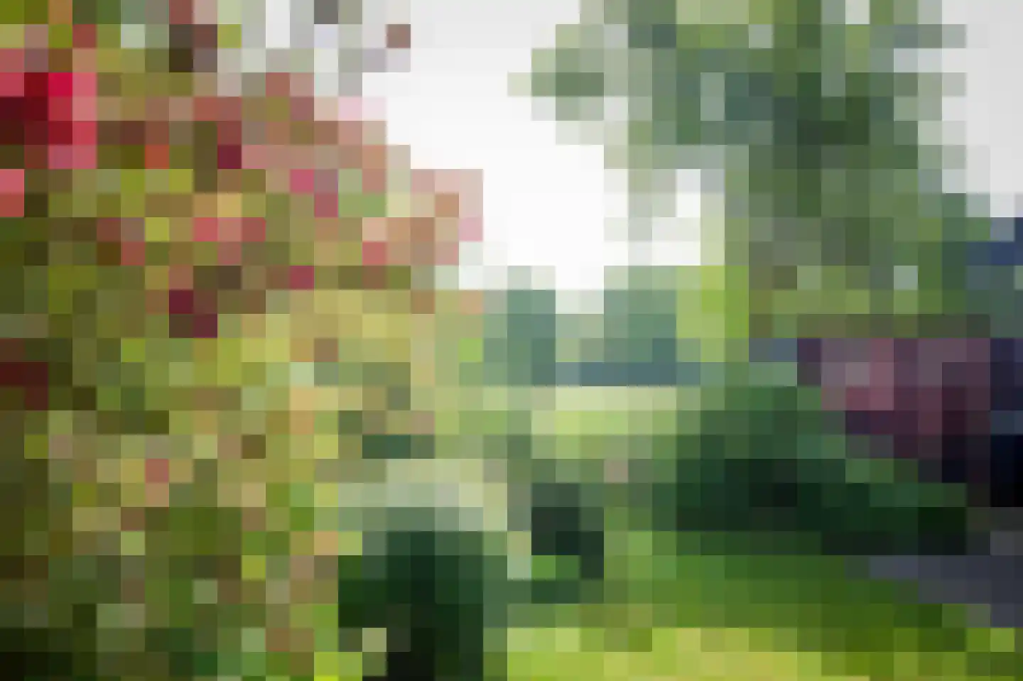 Laagduurswoude 18 Makkinga thumbnail 4