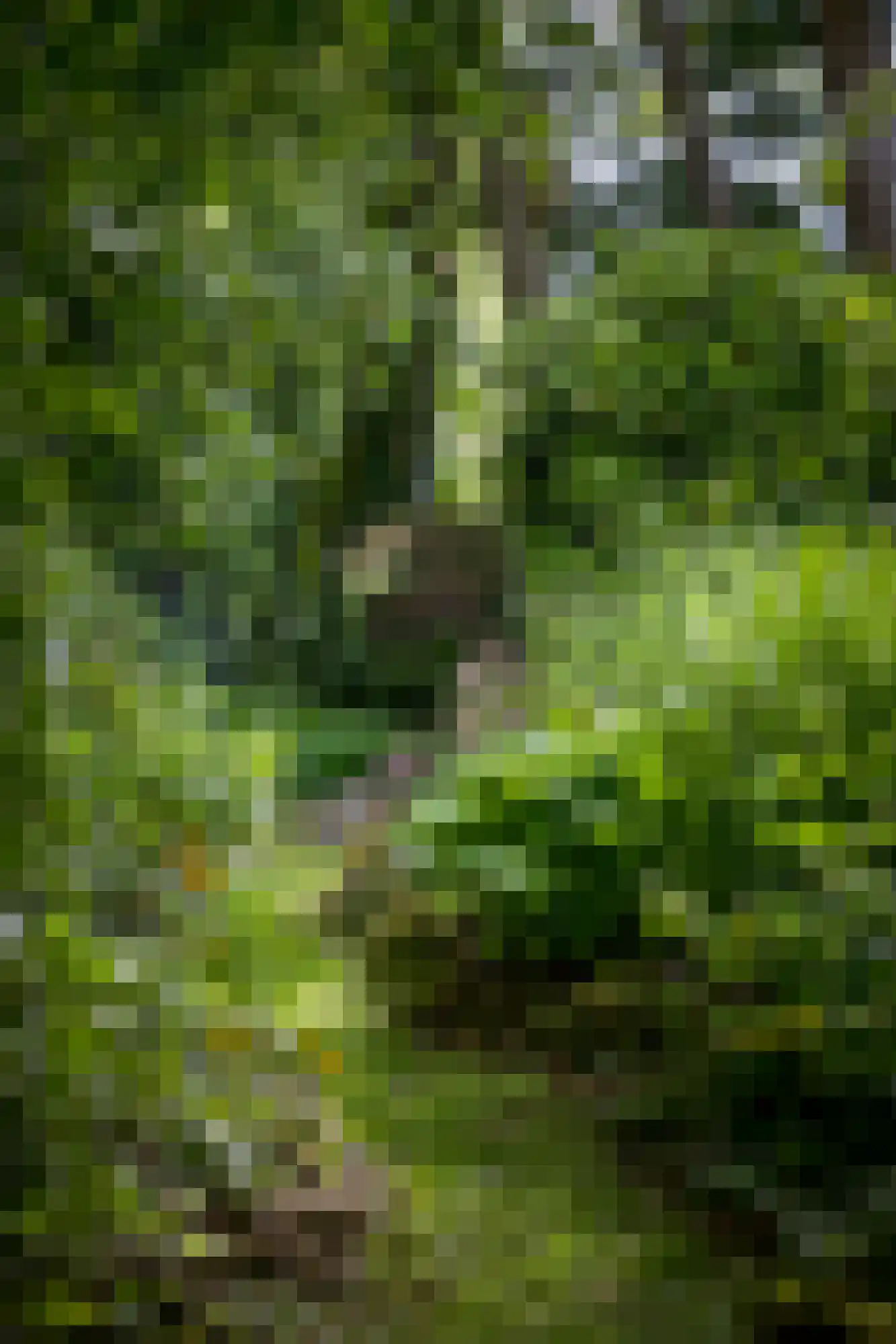 Laagduurswoude 18 Makkinga thumbnail 40