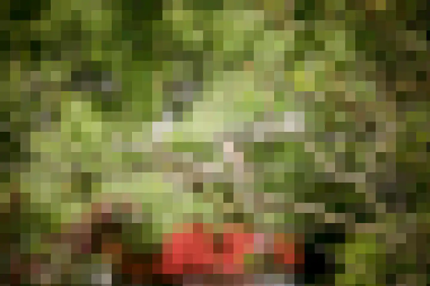 Laagduurswoude 18 Makkinga thumbnail 41