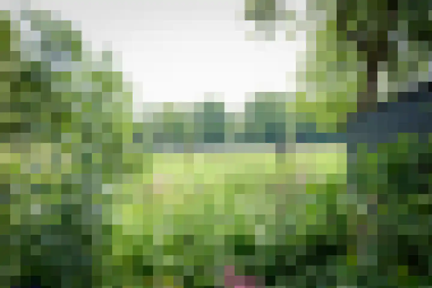 Laagduurswoude 18 Makkinga thumbnail 42