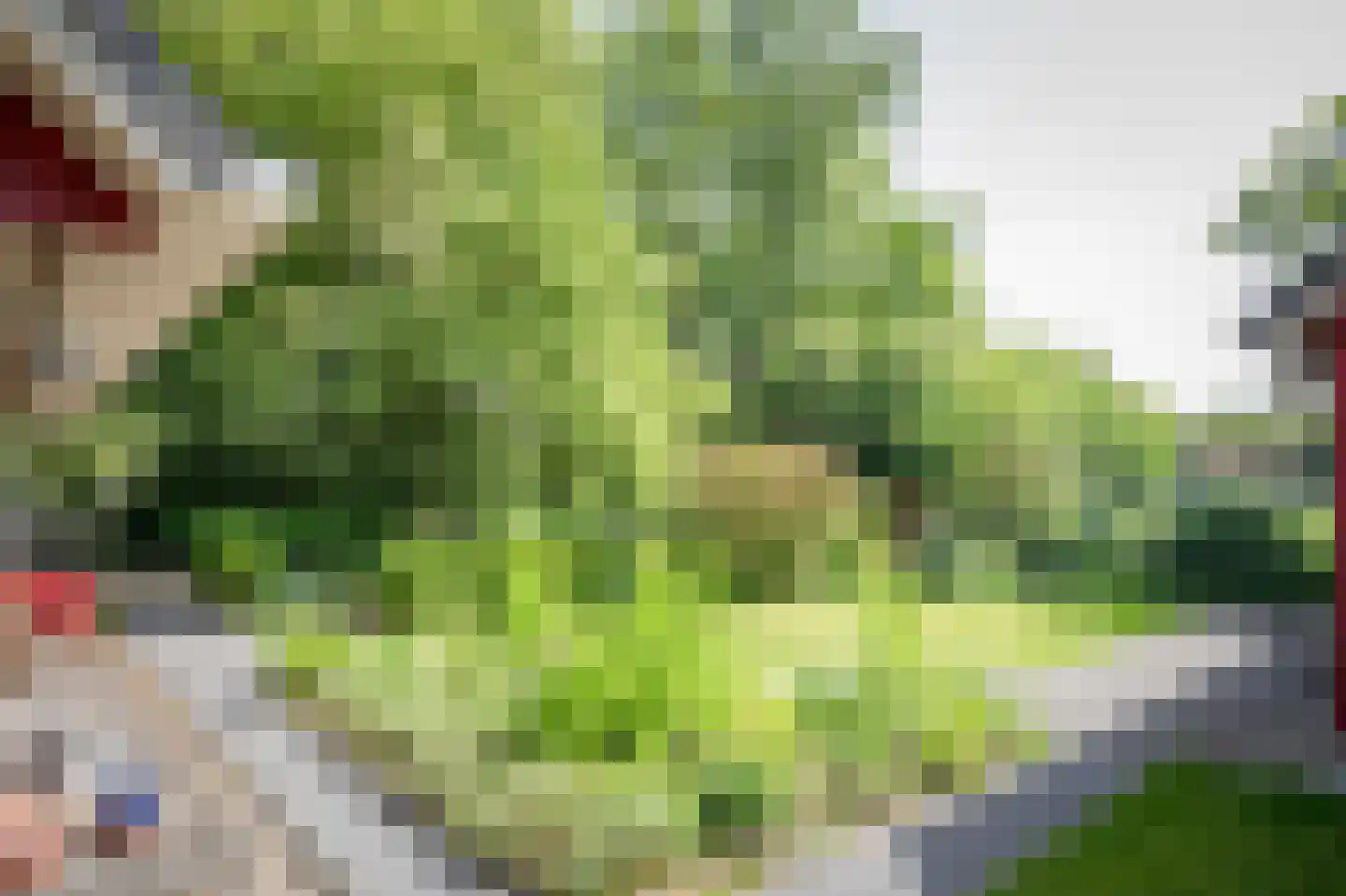 Laagduurswoude 18 Makkinga thumbnail 43