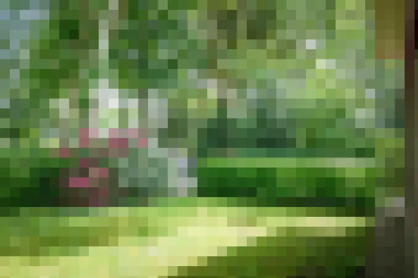 Laagduurswoude 18 Makkinga thumbnail 44