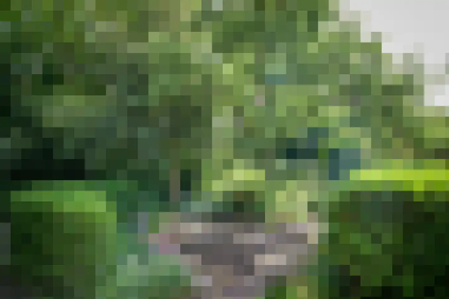 Laagduurswoude 18 Makkinga thumbnail 45