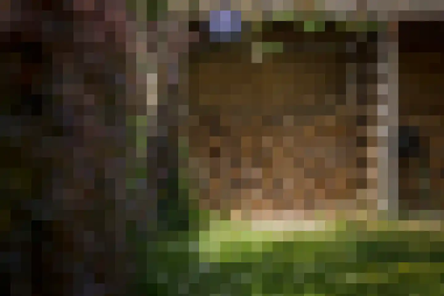 Laagduurswoude 18 Makkinga thumbnail 46