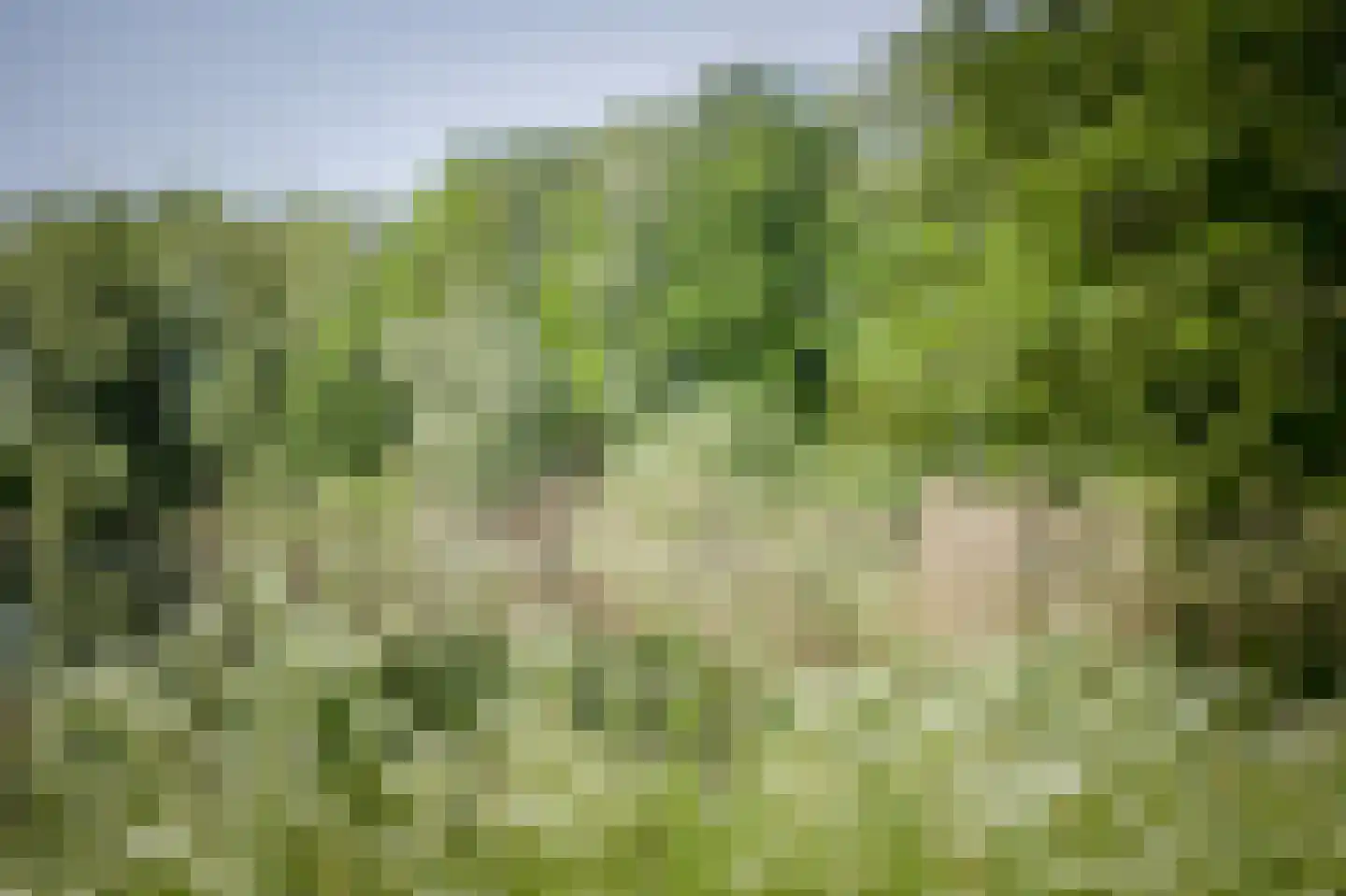 Laagduurswoude 18 Makkinga thumbnail 49