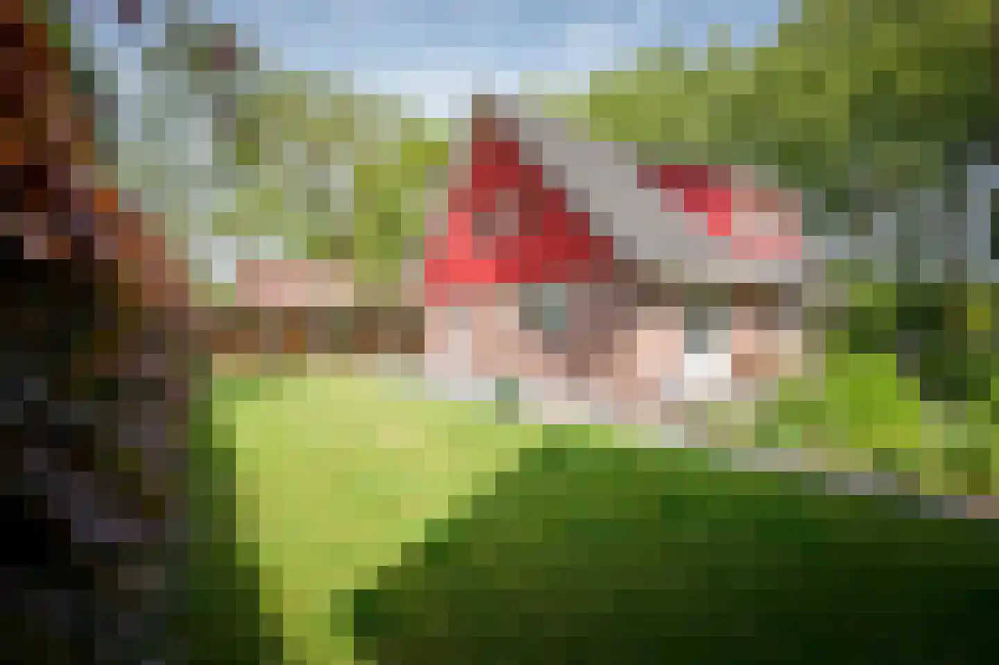 Laagduurswoude 18 Makkinga thumbnail 5