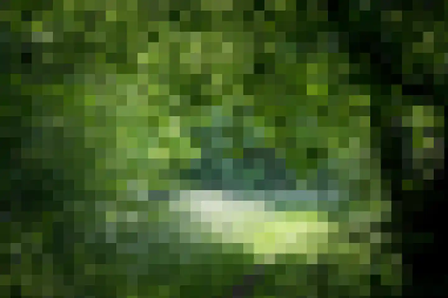 Laagduurswoude 18 Makkinga thumbnail 51