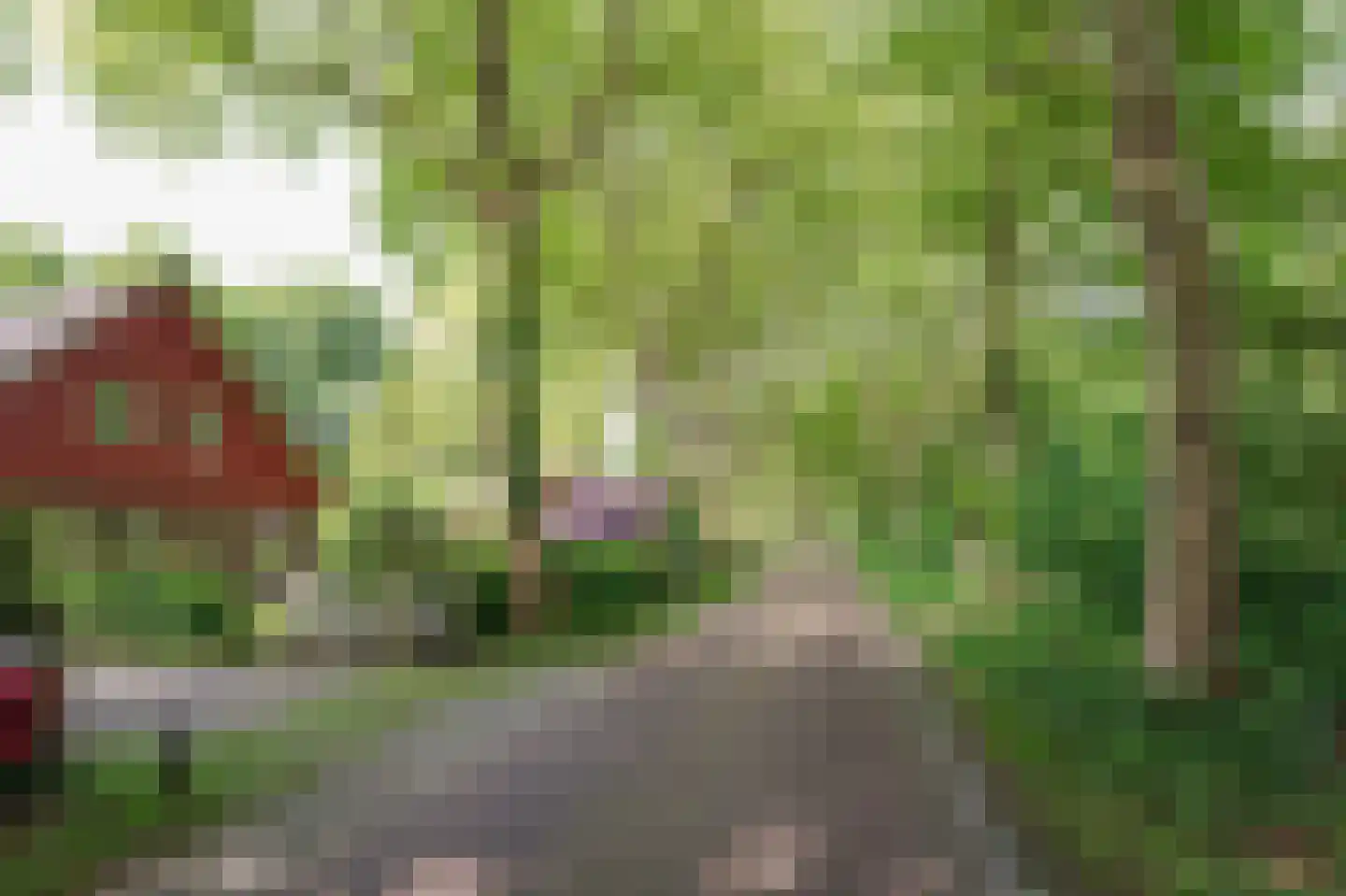 Laagduurswoude 18 Makkinga thumbnail 52